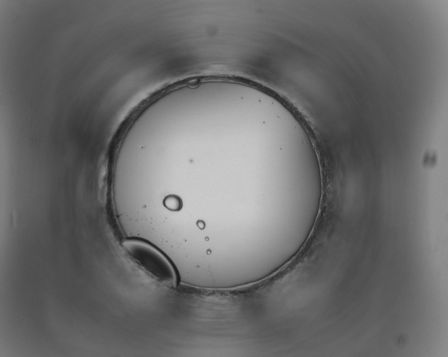 X0000092261126200709281159