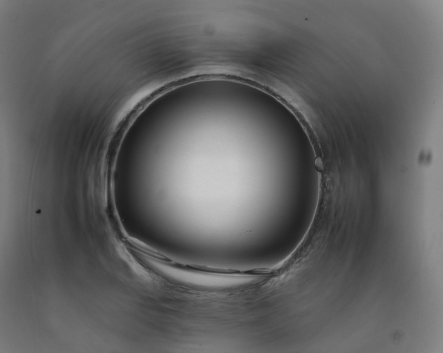 X0000092261127200709281159