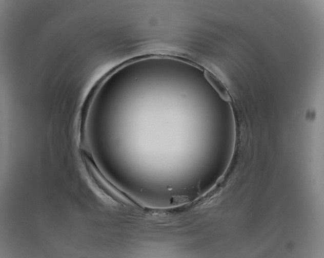 X0000092261128200709281159