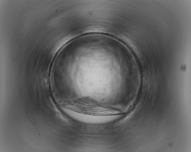 X0000092261129200709281159