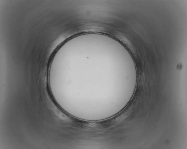 X0000092261130200709281159