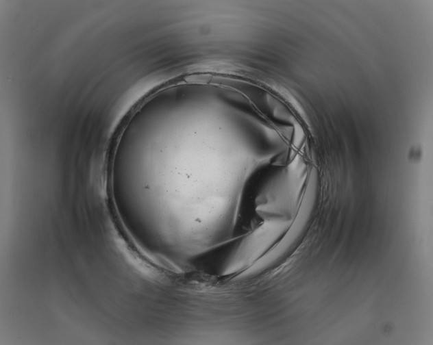 X0000092261131200709281159