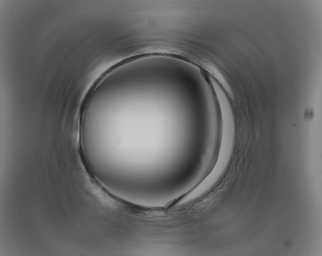 X0000092261132200709281159