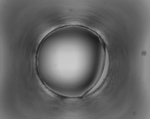 X0000092261134200709281159