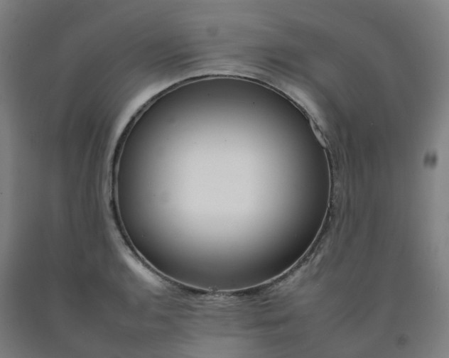 X0000092261136200709281159