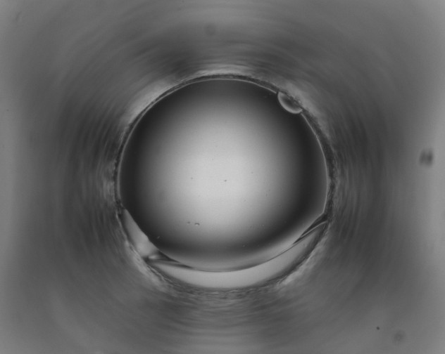 X0000092261137200709281159