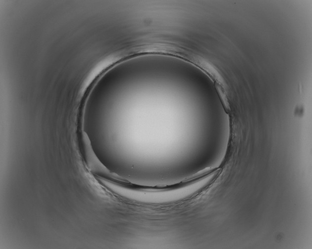 X0000092261138200709281159