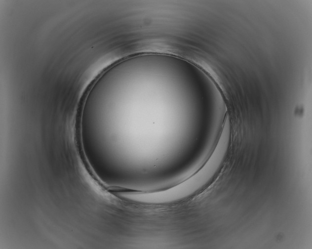 X0000092261139200709281159