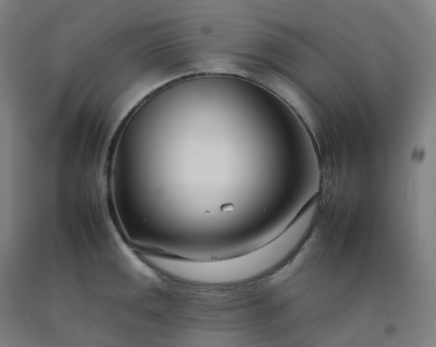 X0000092261141200709281159