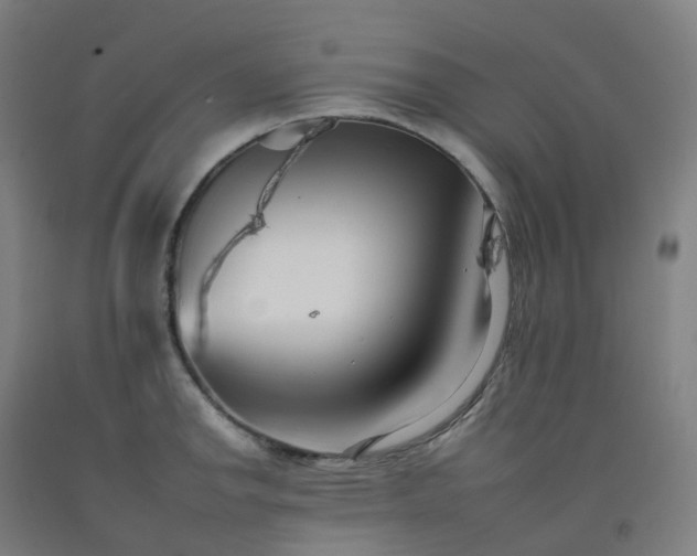 X0000092261142200709281159