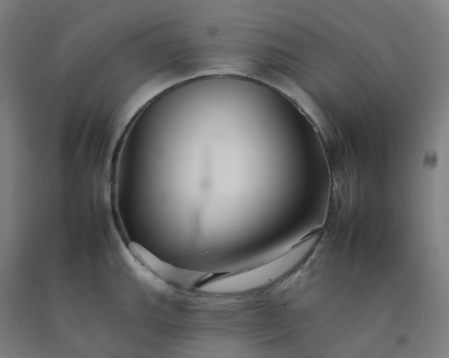 X0000092261143200709281159