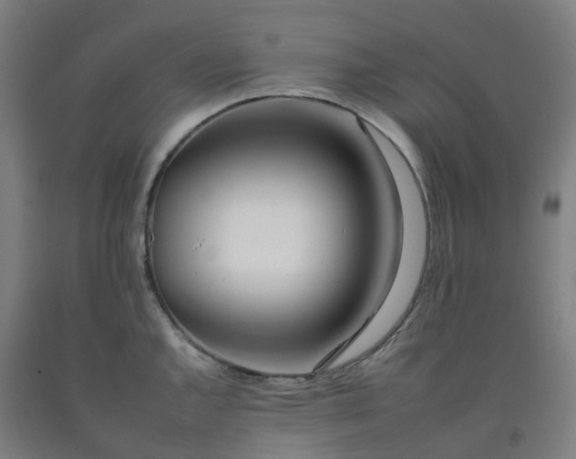 X0000092261144200709281159