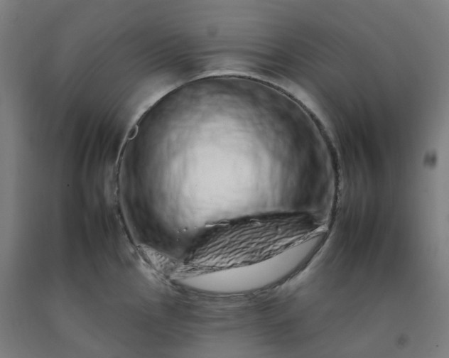 X0000092261145200709281159