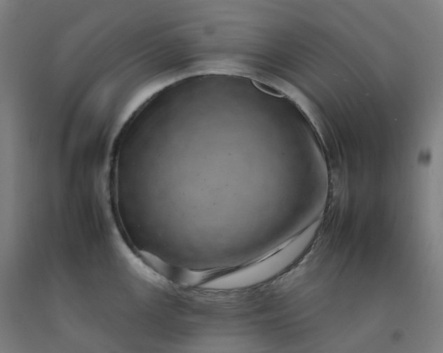 X0000092261147200709281159