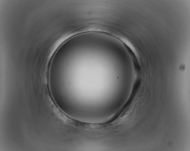 X0000092261148200709281159