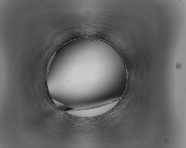 X0000092261153200709281158