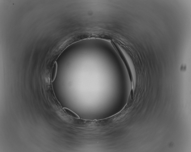 X0000092261155200709281158