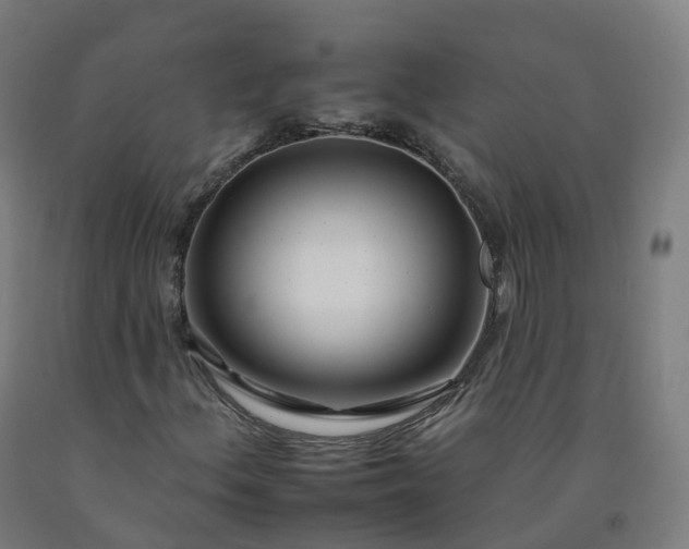 X0000092261156200709281158