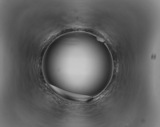 X0000092261157200709281158