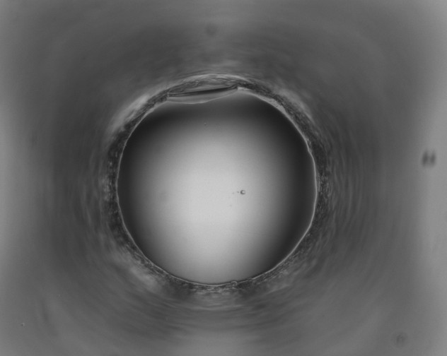 X0000092261159200709281158