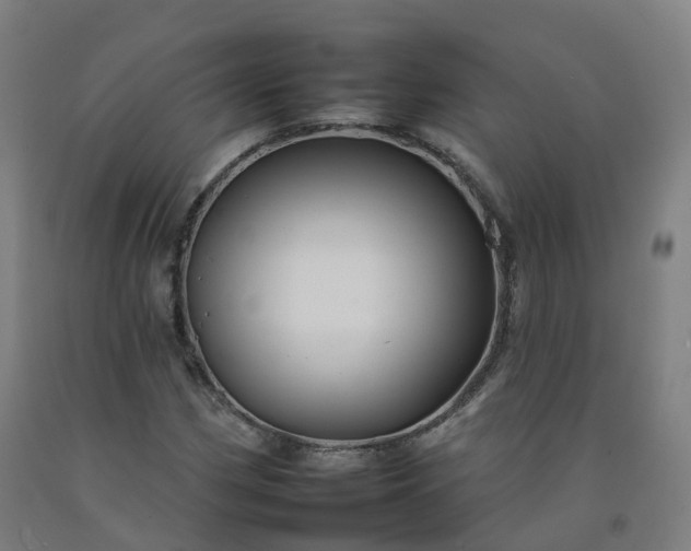 X0000092261162200709281158