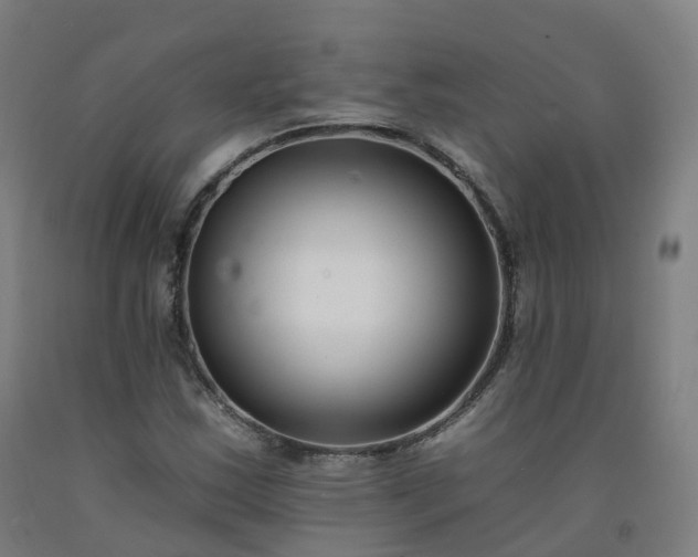 X0000092261163200709281158