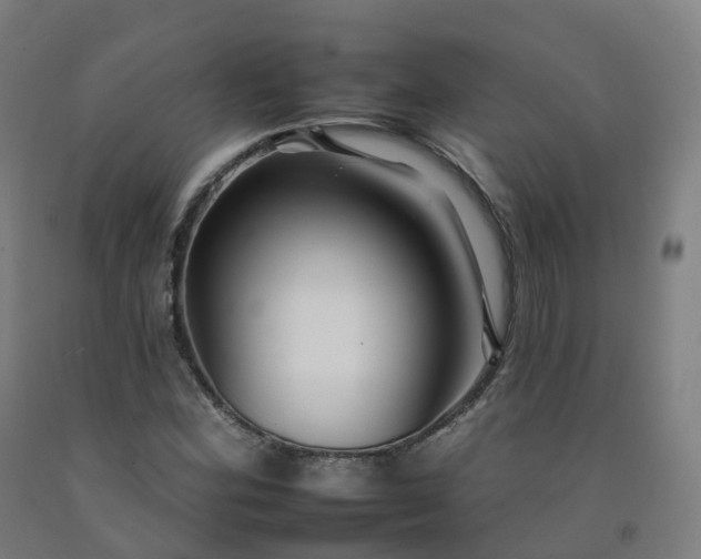 X0000092261164200709281158