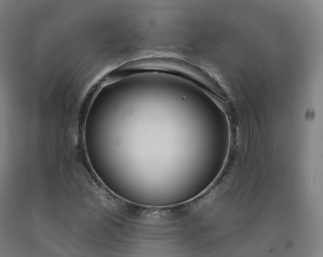 X0000092261165200709281158