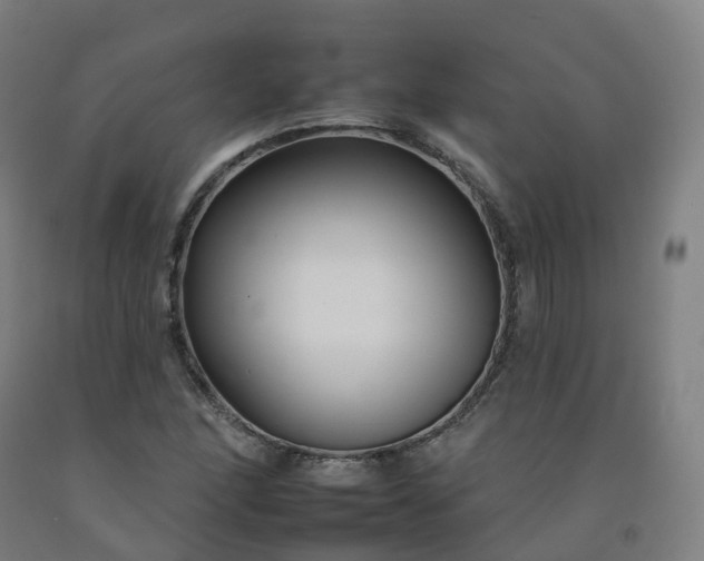 X0000092261166200709281158