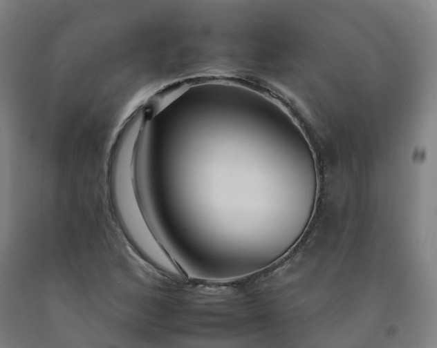 X0000092261168200709281158