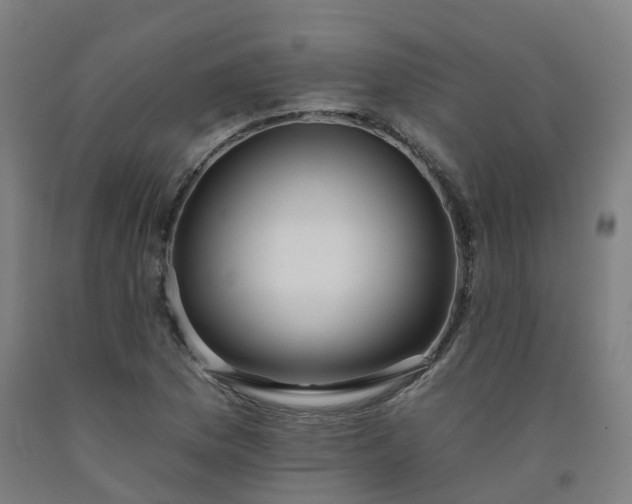 X0000092261169200709281158