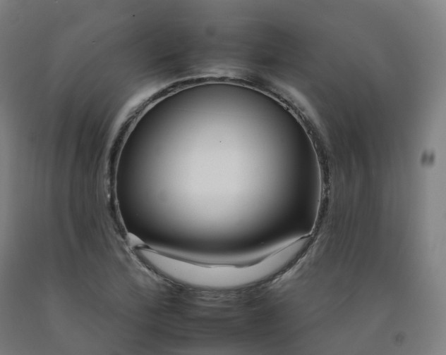 X0000092261172200709281158