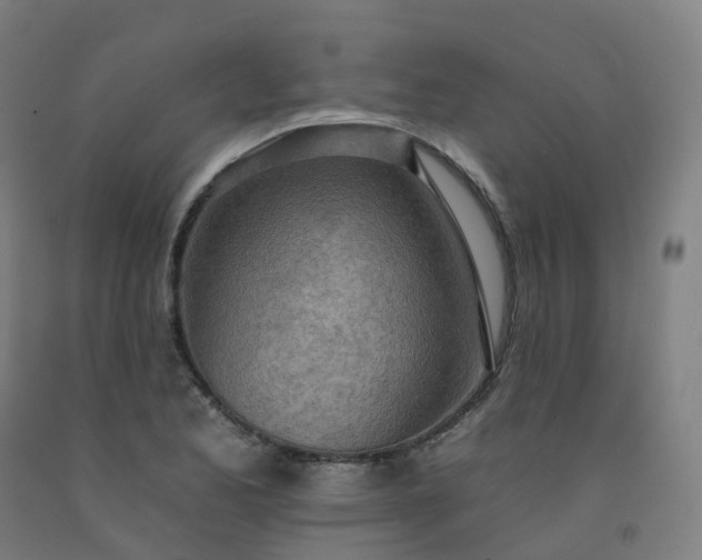 X0000092261173200709281158