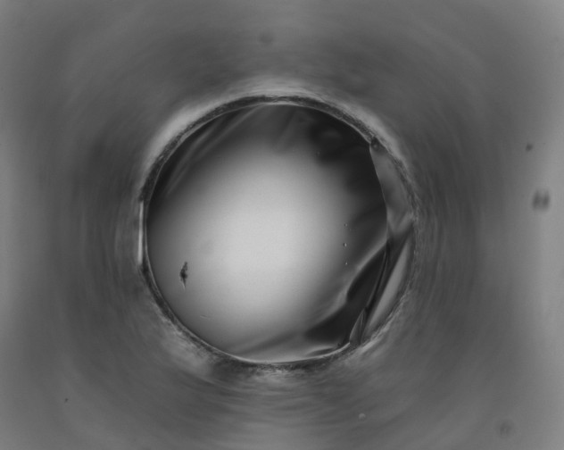 X0000092261175200709281158