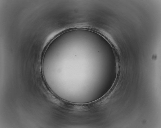 X0000092261176200709281158