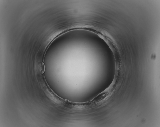 X0000092261177200709281158