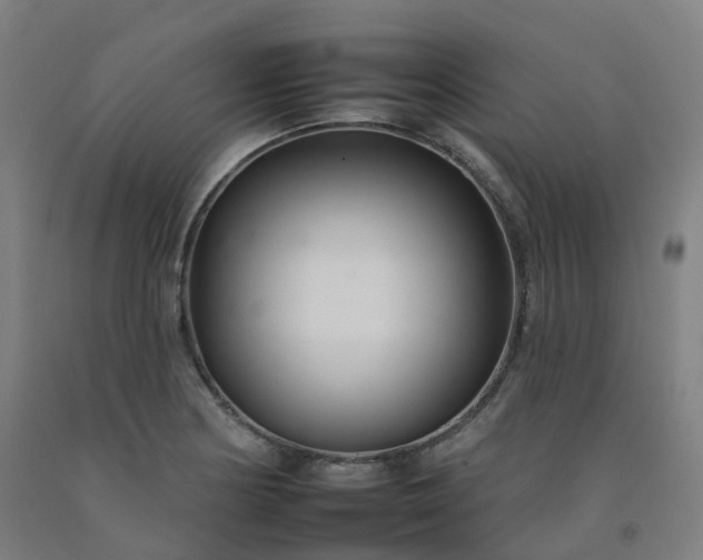 X0000092261178200709281158