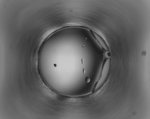 X0000092261179200709281158