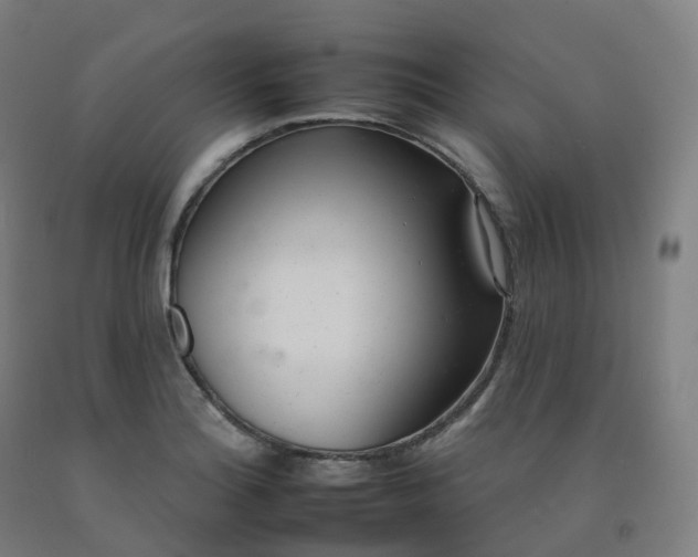 X0000092261180200709281158