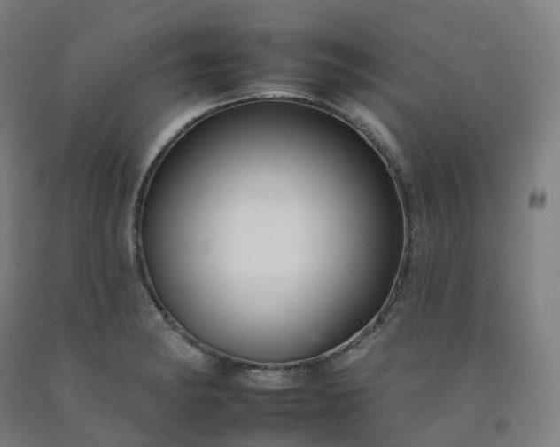 X0000092261182200709281158