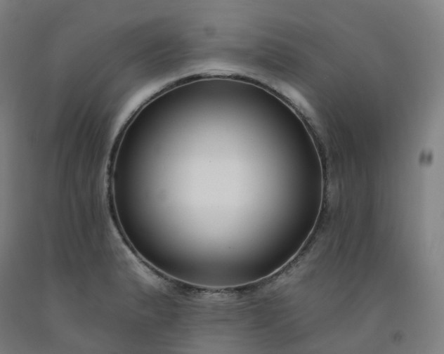 X0000092261183200709281158