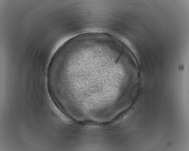 X0000092261187200709281158