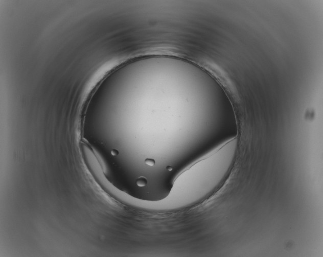 X0000092261188200709281158