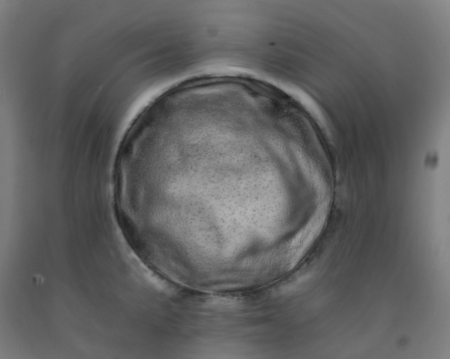 X0000092261191200709281158