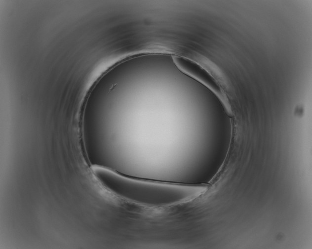 X0000092261192200709281158