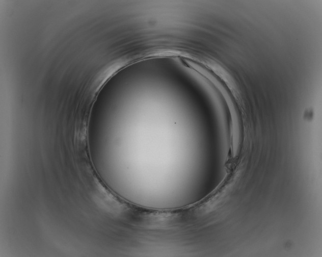 X0000092261193200709281158