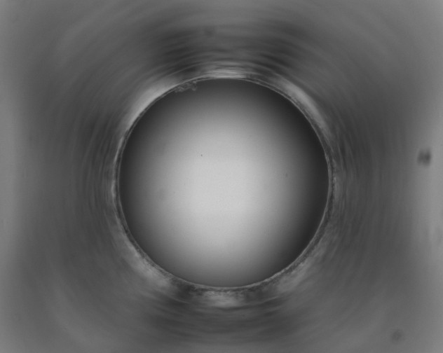 X0000092261194200709281158