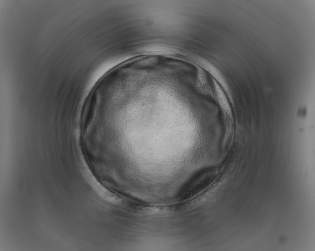 X0000092261195200709281158