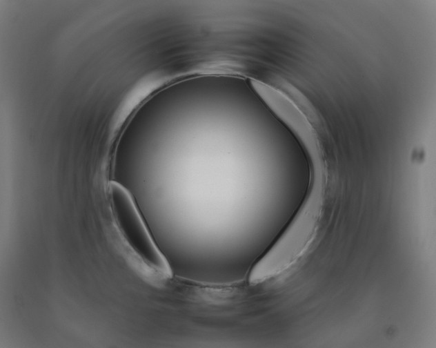 X0000092261196200709281158