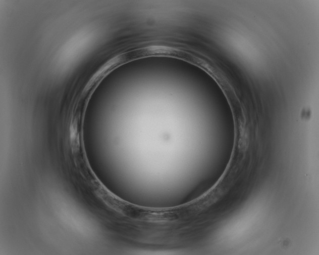 X0000092261198200709281158